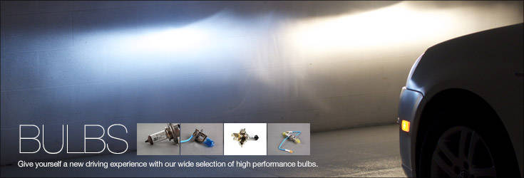ziza bulbs
