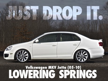 vw jetta lowering springs