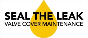 Valve Cover Maintenance | BMW 6 cylinder M54 Engines