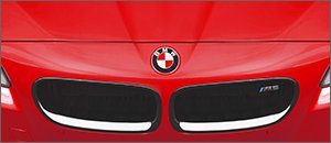 Roundel Overlay for your BMW