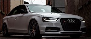 034Motorsport Dynamic+ Performance Lowering Springs