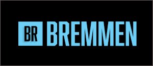 New Lower Priced Bremmen Android Radio - VW
