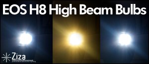 EOS H8 Bulbs